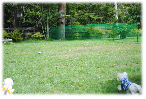 b0242873_15264.png