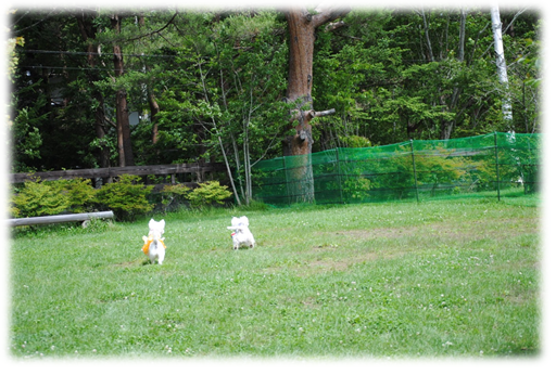b0242873_152758.png