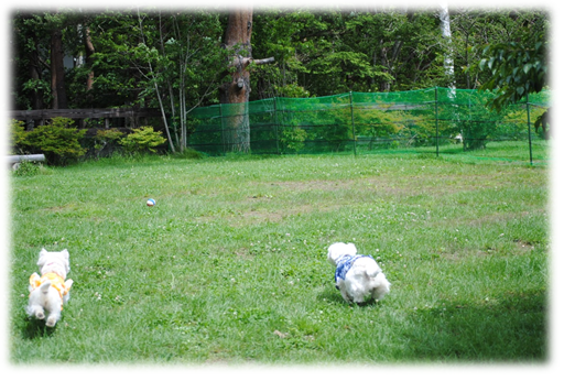 b0242873_15914.png