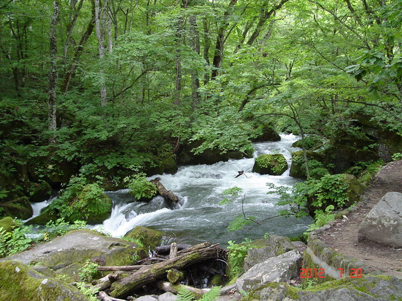 a0188775_124611.jpg