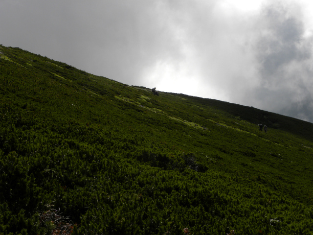 d0245378_14502217.jpg