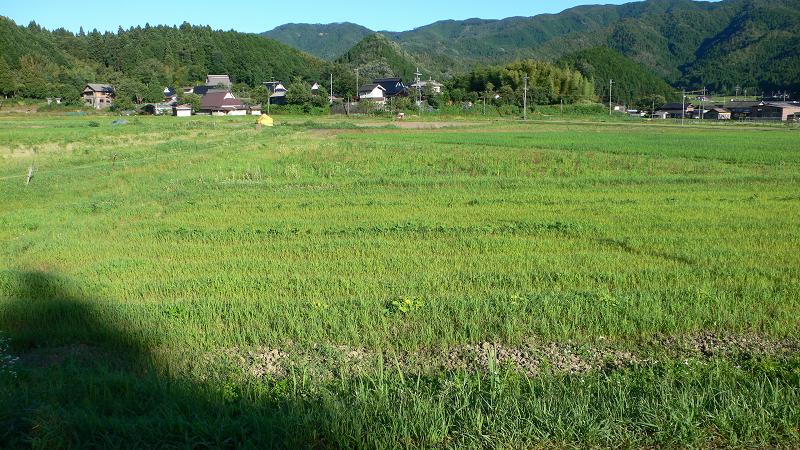b0042882_031068.jpg