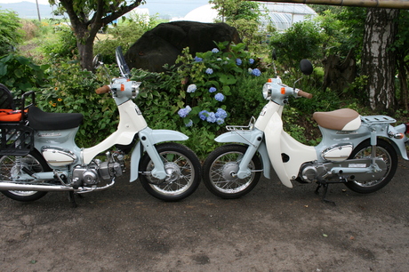 a0279883_1551771.jpg