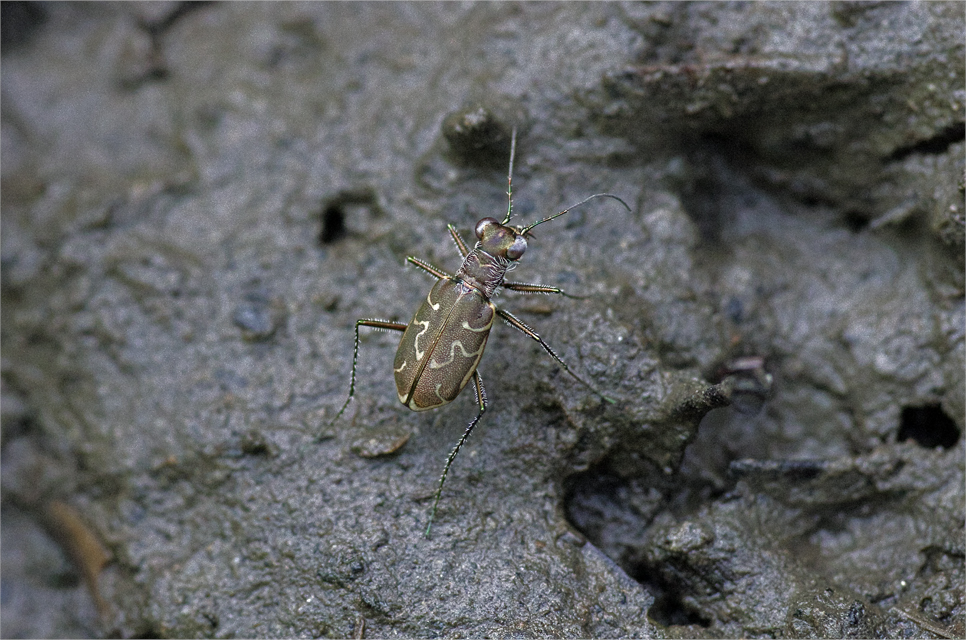 d0209988_20205530.jpg