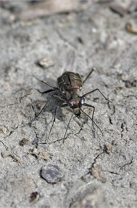 d0209988_20351579.jpg