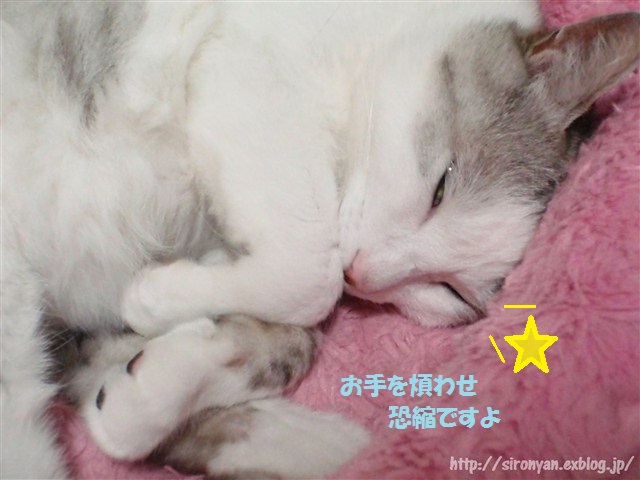 a0159490_14491396.jpg