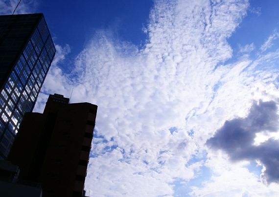 f0201297_02281.jpg