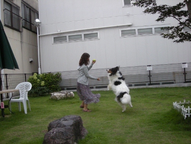 f0081100_21273663.jpg