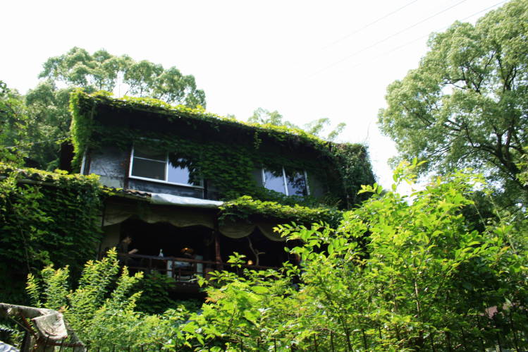 f0031304_6564986.jpg