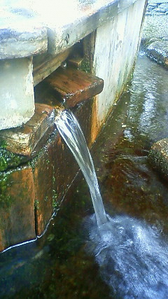 c0017505_10253864.jpg