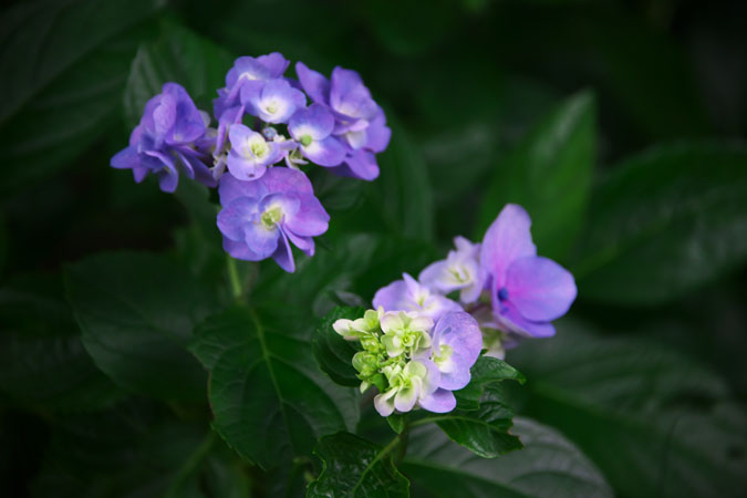 a0263109_1056142.jpg