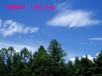 b0200310_19325439.jpg