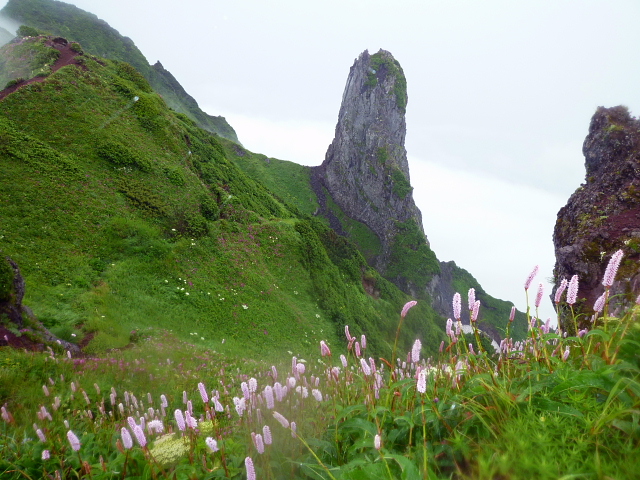 d0170615_63111100.jpg