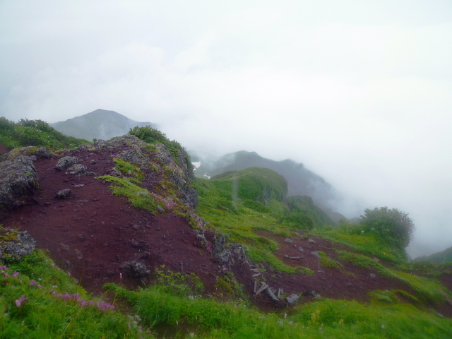 d0170615_6314671.jpg