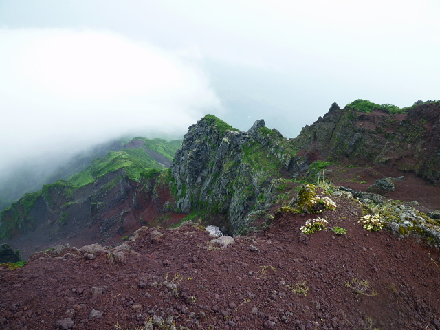 d0170615_6315614.jpg