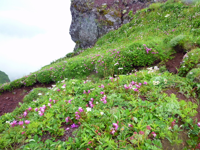 d0170615_632167.jpg