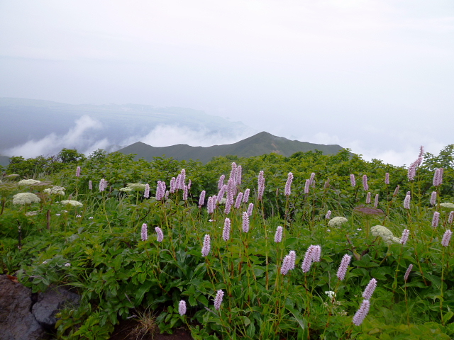 d0170615_6333629.jpg