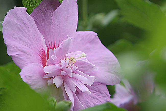 a0239418_185314.jpg