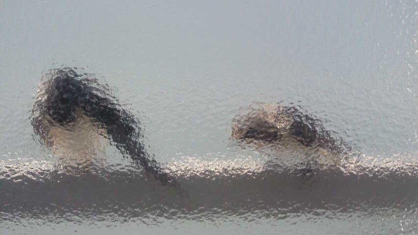 e0126218_19493135.jpg