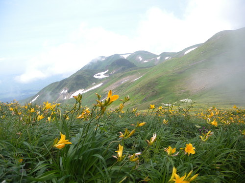 e0167920_17281348.jpg