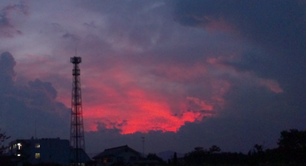 b0199924_187165.jpg