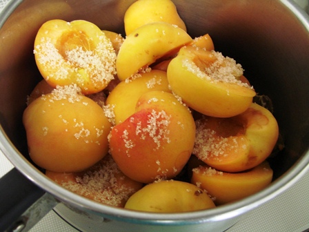 c0039924_21371330.jpg