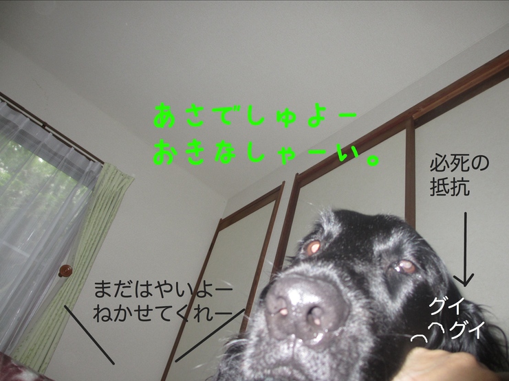c0237824_23195777.jpg