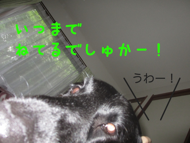 c0237824_23202637.jpg