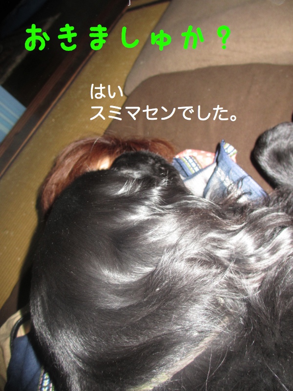 c0237824_23214471.jpg