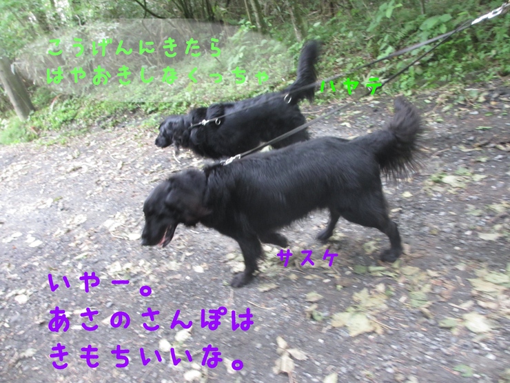 c0237824_23222378.jpg