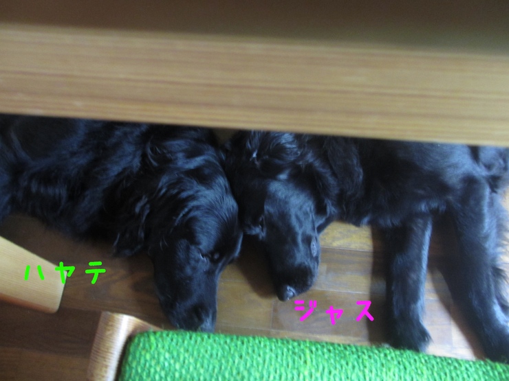 c0237824_23253596.jpg