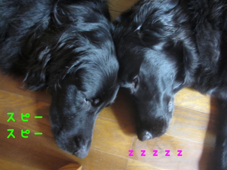 c0237824_23255554.jpg