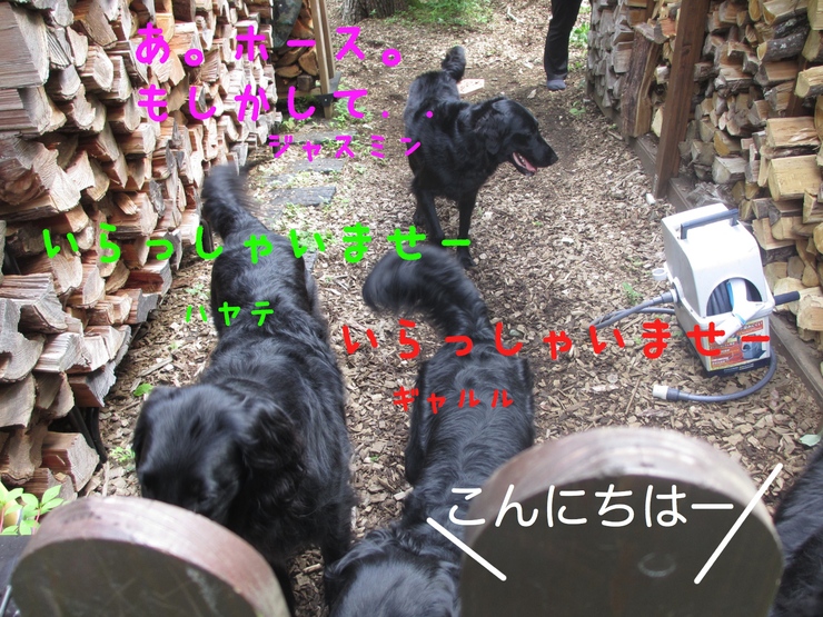 c0237824_23311675.jpg