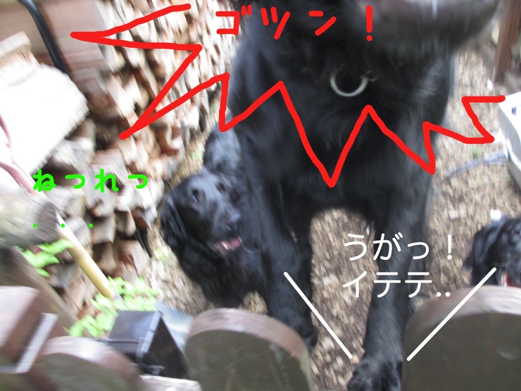 c0237824_2331257.jpg