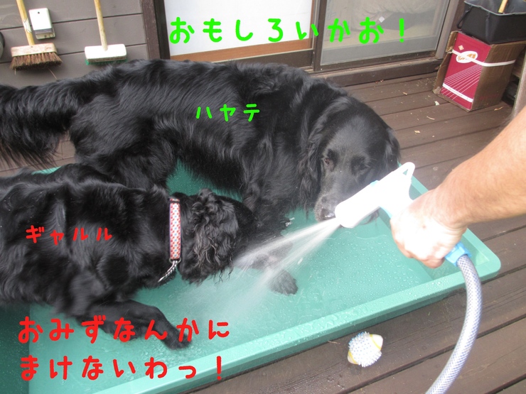 c0237824_23313476.jpg