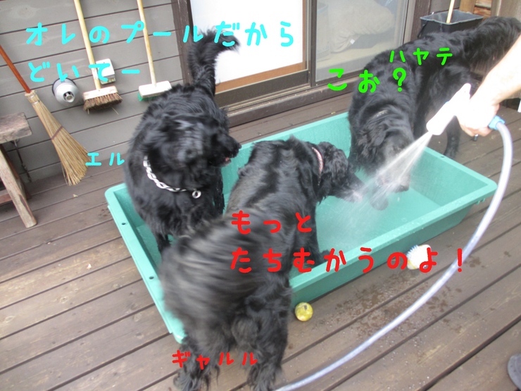 c0237824_2332563.jpg