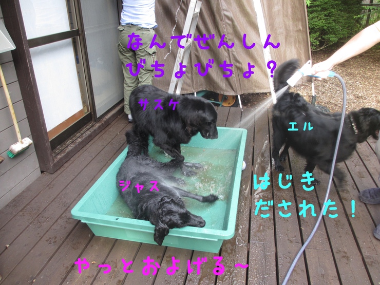 c0237824_23331224.jpg