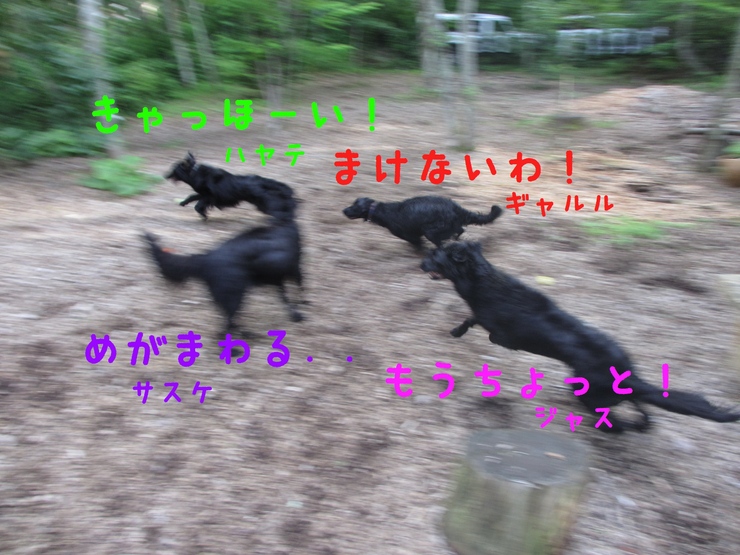 c0237824_23362041.jpg