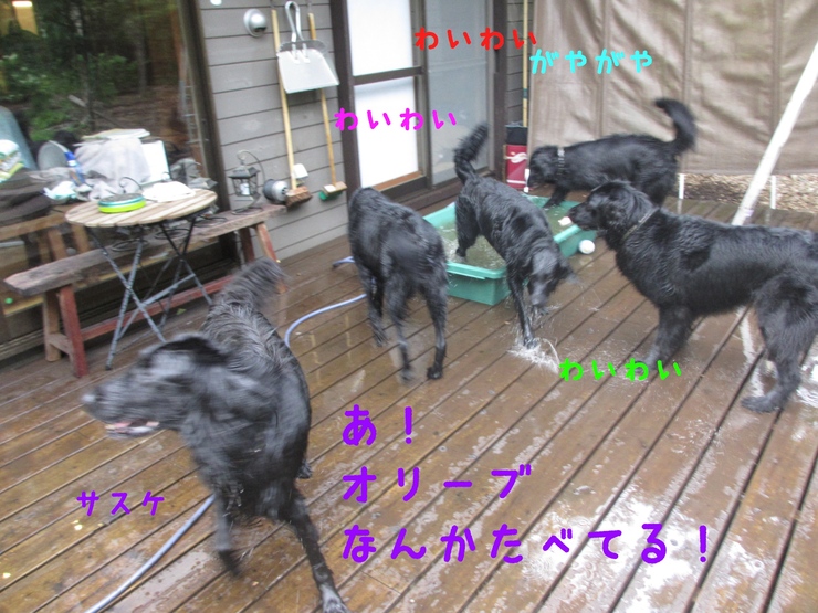 c0237824_23384778.jpg