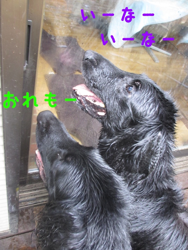 c0237824_23391094.jpg