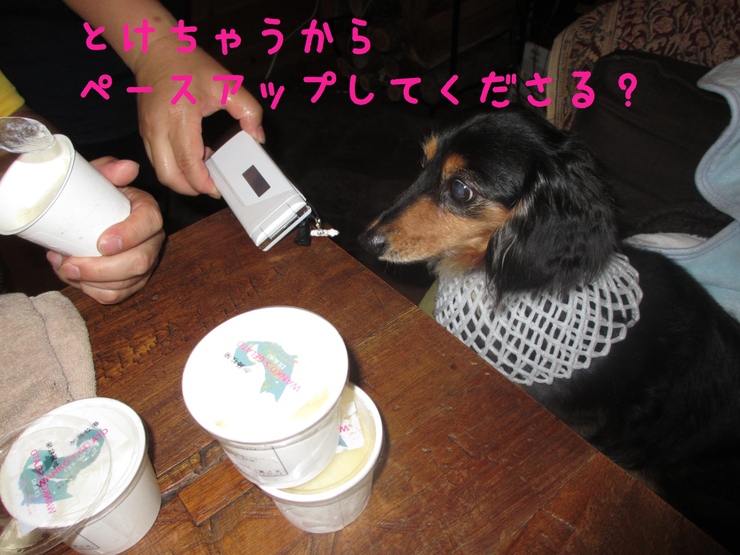 c0237824_23392425.jpg
