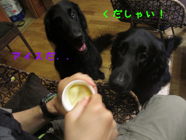 c0237824_23402789.jpg