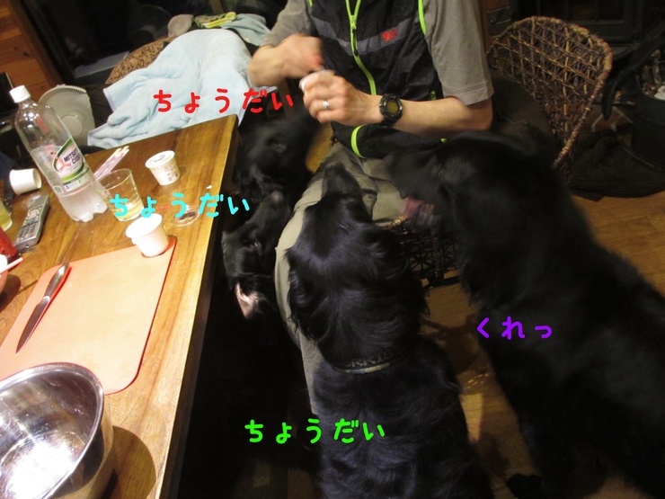 c0237824_23403913.jpg
