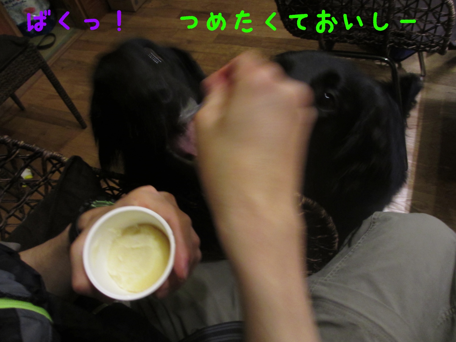 c0237824_2340514.jpg