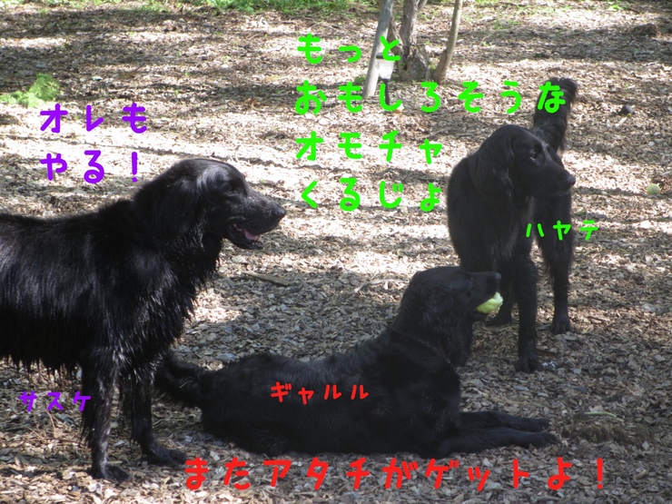 c0237824_2344576.jpg
