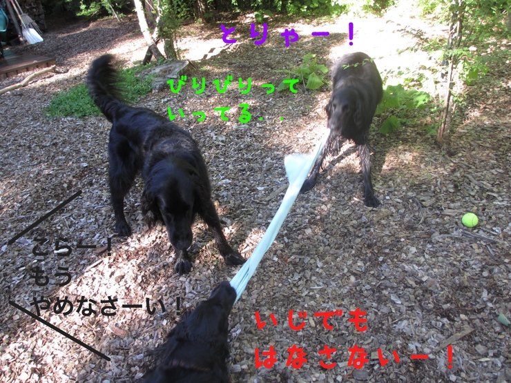 c0237824_2345207.jpg
