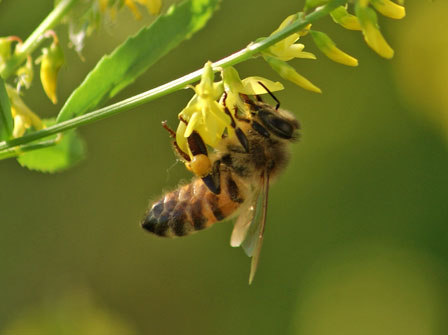 c0184125_2255276.jpg