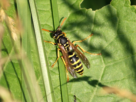 c0184125_2285948.jpg