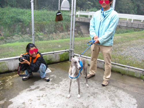 b0268228_10424539.png