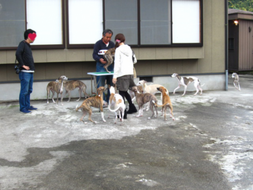 b0268228_10431960.png